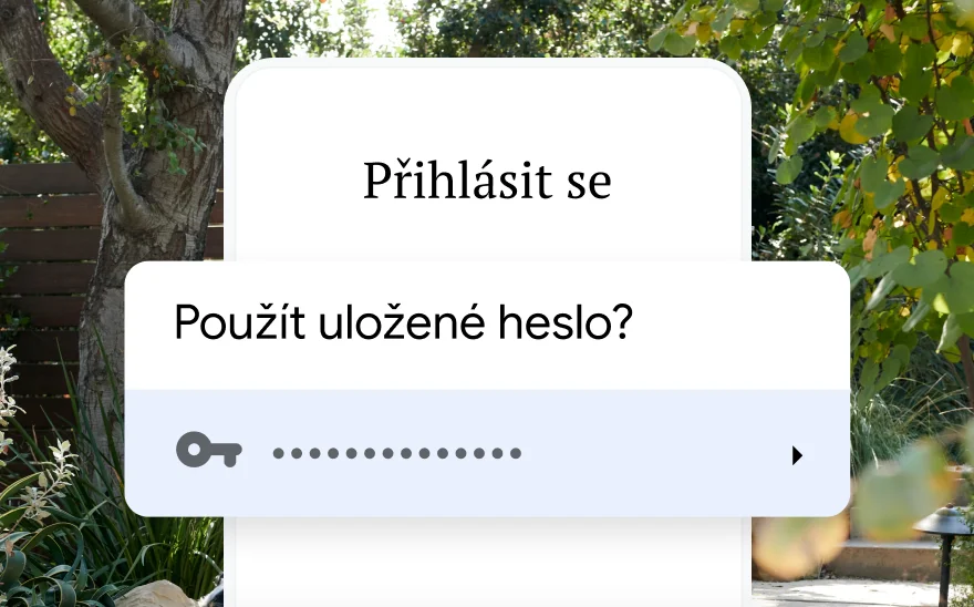 Přihlašovací stránka k rezervaci cesty žádá o použití uloženého hesla. V pozadí je přírodní scéna.