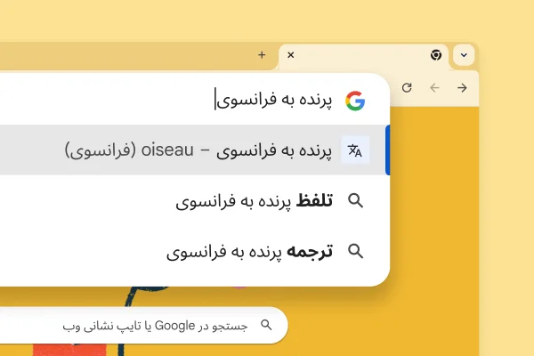 صفحه جستجوی Google با تصویر یک پرنده و جستجوی «پرنده به فرانسوی» با نتیجه «oiseau»