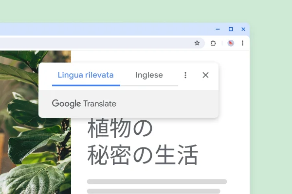 Un sito web con piante e il testo tradotto che dice: 'Il segreto della vita delle piante'.