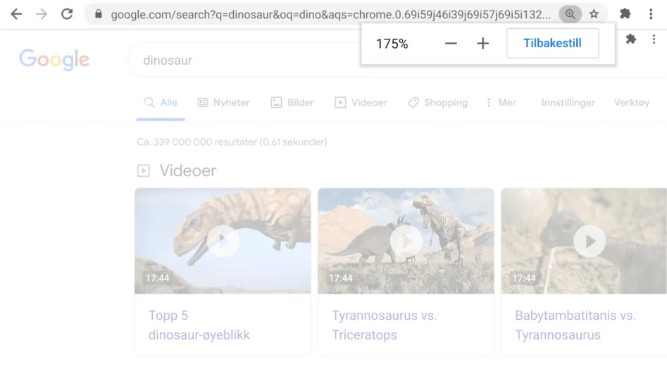 Chrome-nettleservindu der Zoom-funksjonen er aktiv på en åpen nettside.