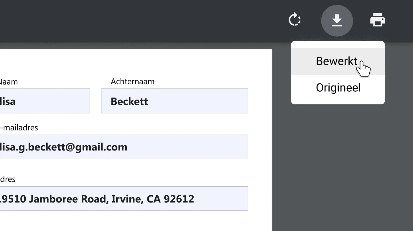 Chrome-browservenster met een geopend pdf-document, ingezoomd op het optiemenu voor downloaden en afdrukken.