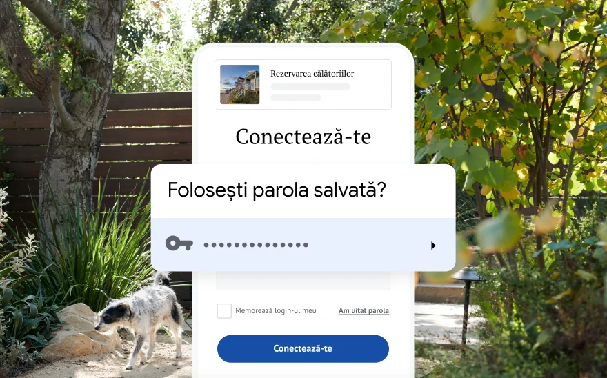 Pagină de conectare pentru rezervarea unei călătorii care solicită folosirea unei parole salvate. În fundal apare o scenă din natură.