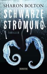 Gambar ikon Schwarze Strömung - Lacey Flint 4: Thriller