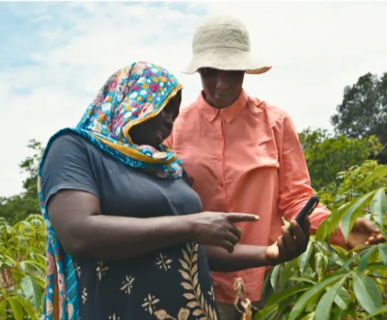 Two farmers use a smartphone while working with plants